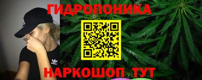 mdpv Бийск