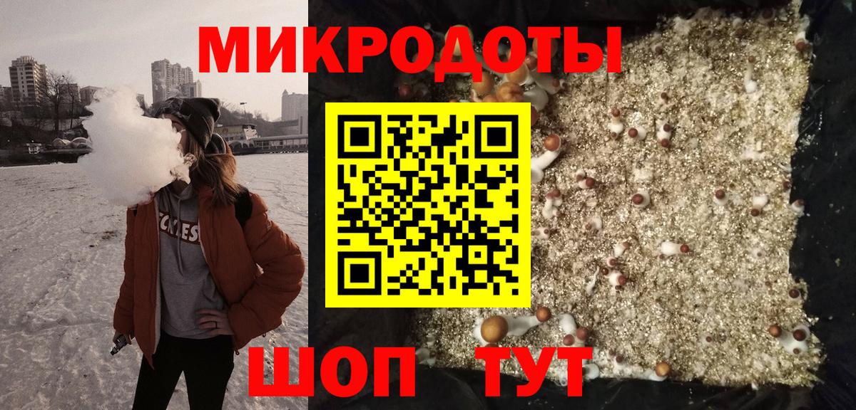 Псилоцибиновые грибы Cubensis Вязьма